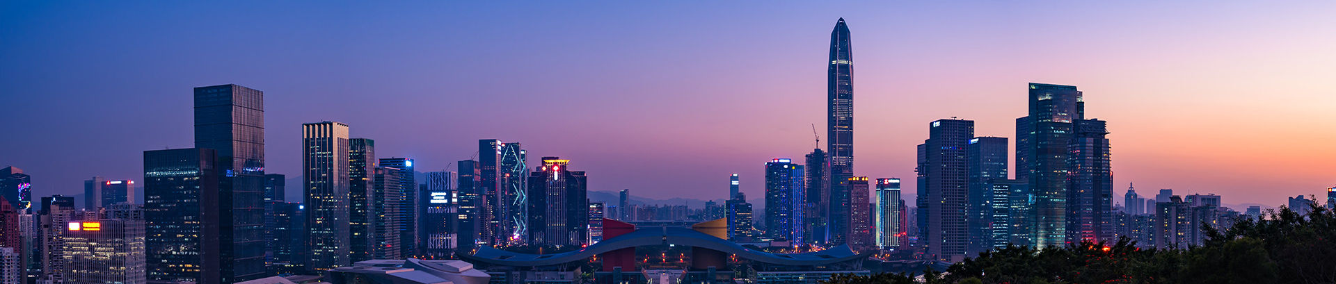 海豚文化-头图03.jpg