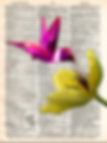 Screen Shot 2017-12-16 at 7.52.43 PM.png