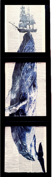 Whale triptic .jpeg
