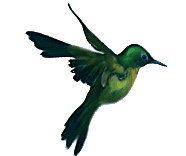 0f0f1c_b4e8864ee8274334b08893ff632deac7.