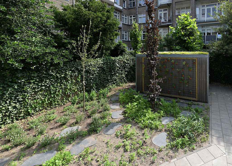 Eerste Openluchtschool in Amsterdam