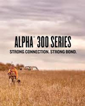 alpha 300.jpeg