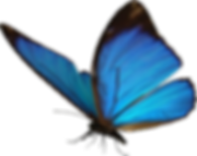 5a5b7c9c5637f160f55ec2c1.png