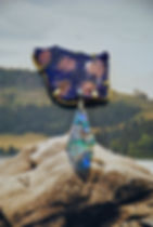 fullsizeoutput_19ce.jpeg