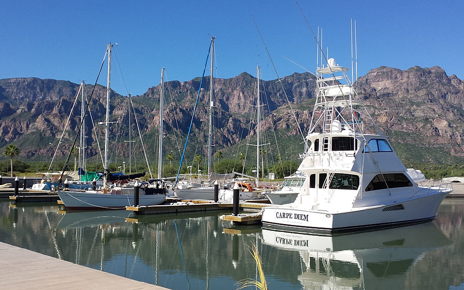 MARINA REAL ESTATE CONTACT