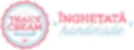 thaice-cream-inghetata-handmade04.png
