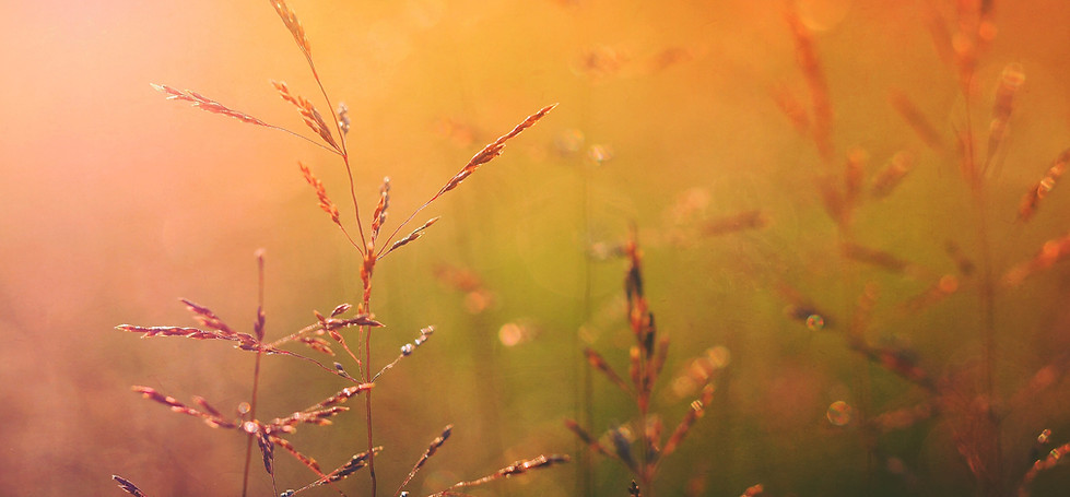 Sonnenaufgang auf der Natur
