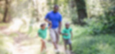 Walking in the Woods