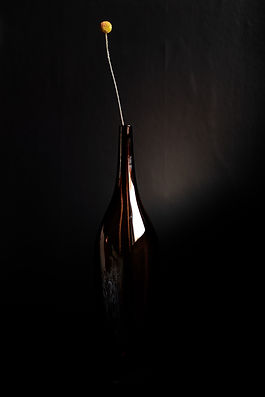 Single Flower in Vase