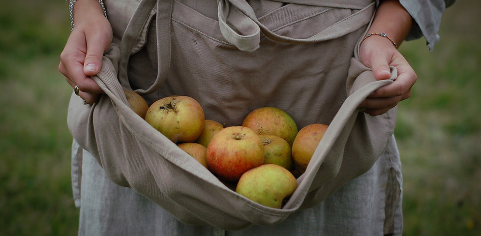 Manzanas frescas