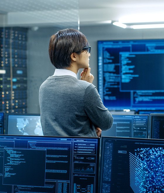 Person Analyzing Data
