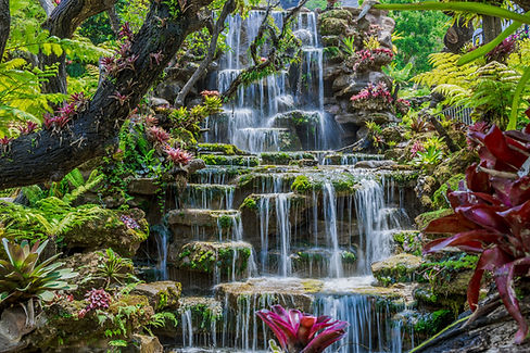 A waterfalll in a garden