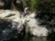 476030d7-8235-45d0-a1e7-b9b261bc02b2.jpg