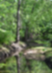 Untitled design (4).png