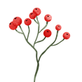 berries (1).png