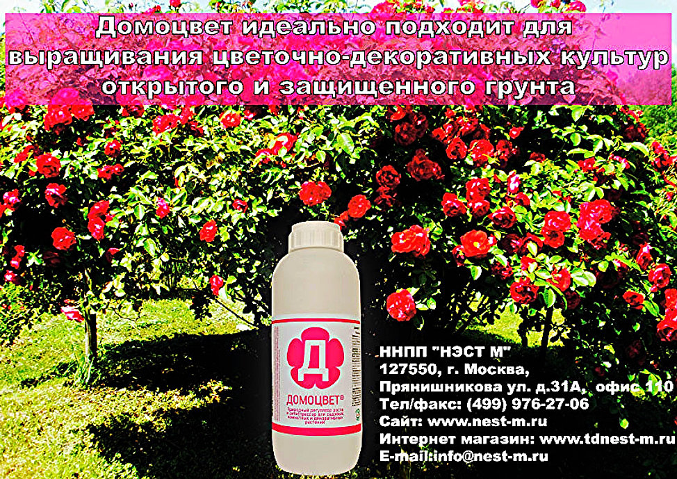 инструкция по применению домоцвет