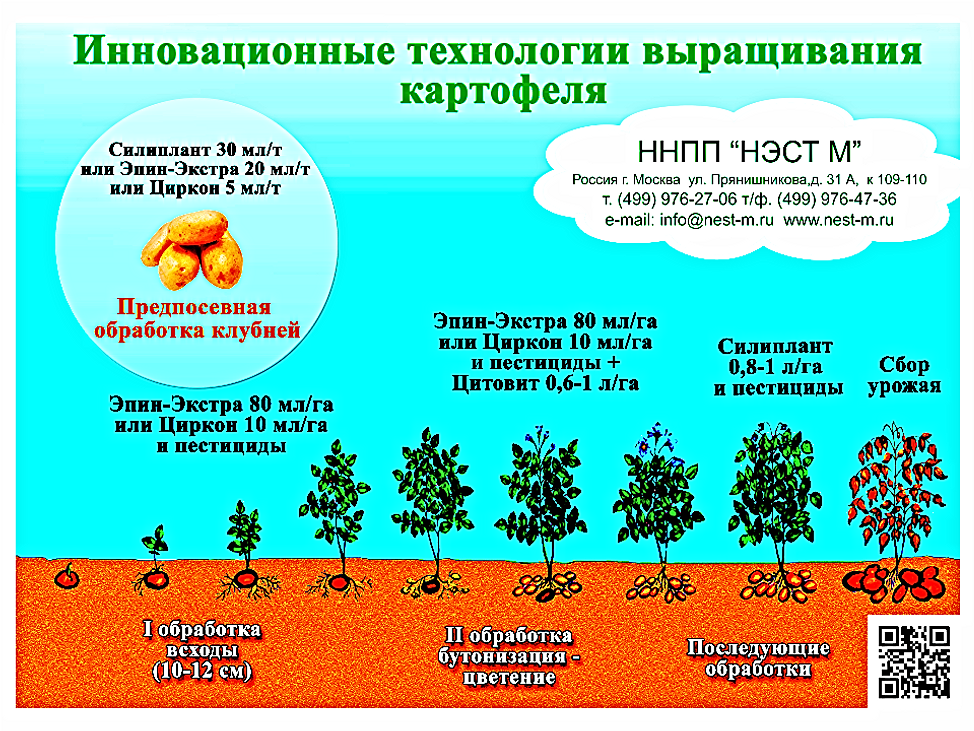 инструкция по применению силиплант