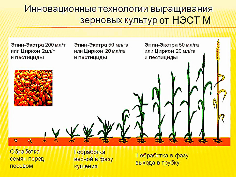 эпин. инструкция по применению