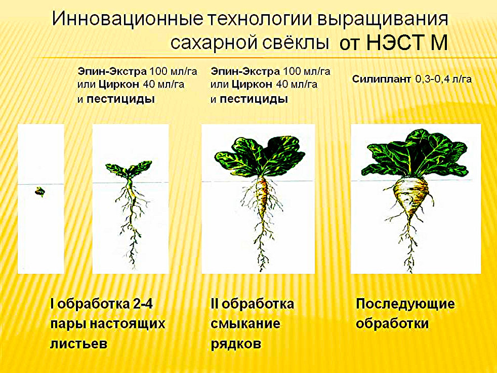 эпин. инструкция по применению