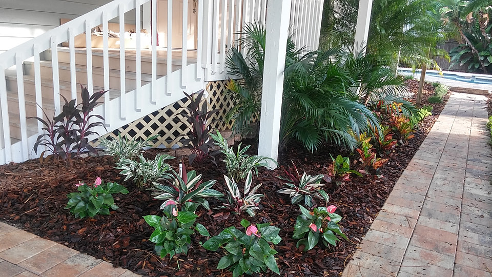 Discount Palms and Plants, with full service landscaping