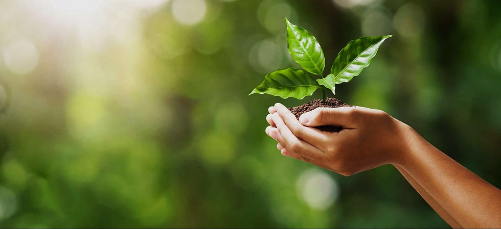 caring_for_the-environment-scaled-e1596104618586_edited.jpg