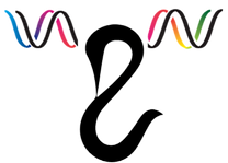 SVAN%252520BROADCAST%252520LOGO_edited_e