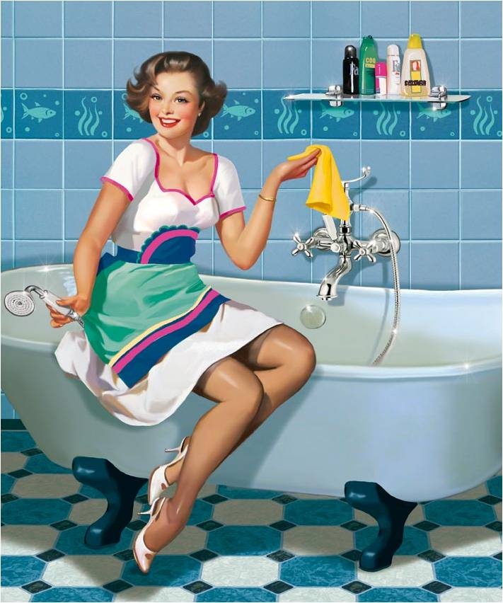 housecleaning logo