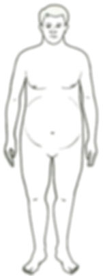 Endomorf – vann