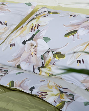 rebecca home