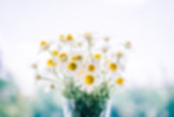Agenda Reiki cursus Utrecht
