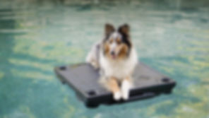 float klimb picture.jpeg