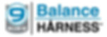 balanceharness.jpeg