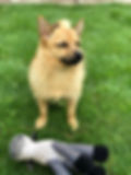 IMG_0072.jpeg