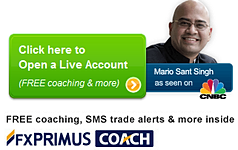BEST FOREX ECN BROKER | IB FXRIMUS INDONESIA
