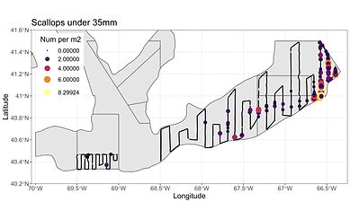 Scallops under 35mm map_Leg_1_CAIIS_NLS.jpg