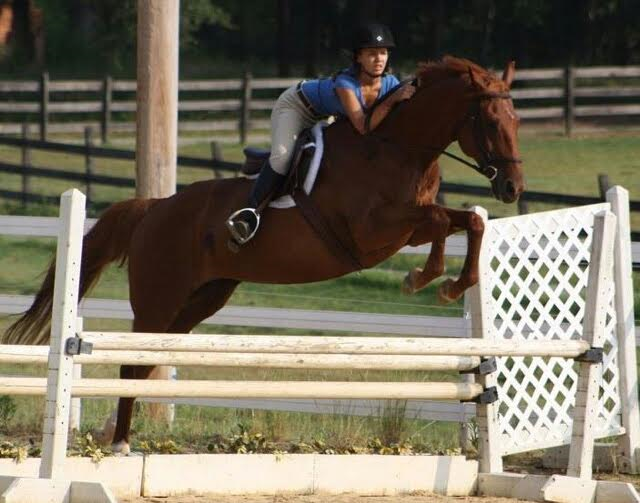 Horseback Riding Lessons near Wilmington, NC