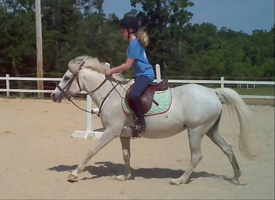 Horseback Riding Lessons near Wilmington, NC