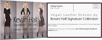 Kevan Hall Direct Mailer snipit.PNG