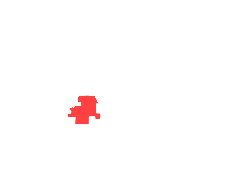 ADs Red Grey NYS_AD 132 - Palmesano.png