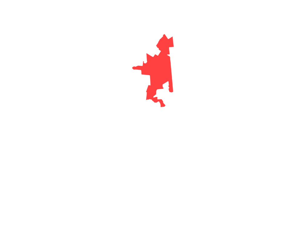 ADs Red Grey NYS_AD 117 - Blankenbush.pn