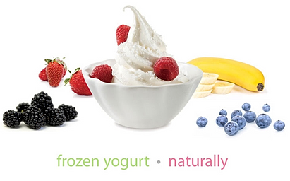 Orange Leaf Frozen Yogurt Memorial City, Texas Bisnzz