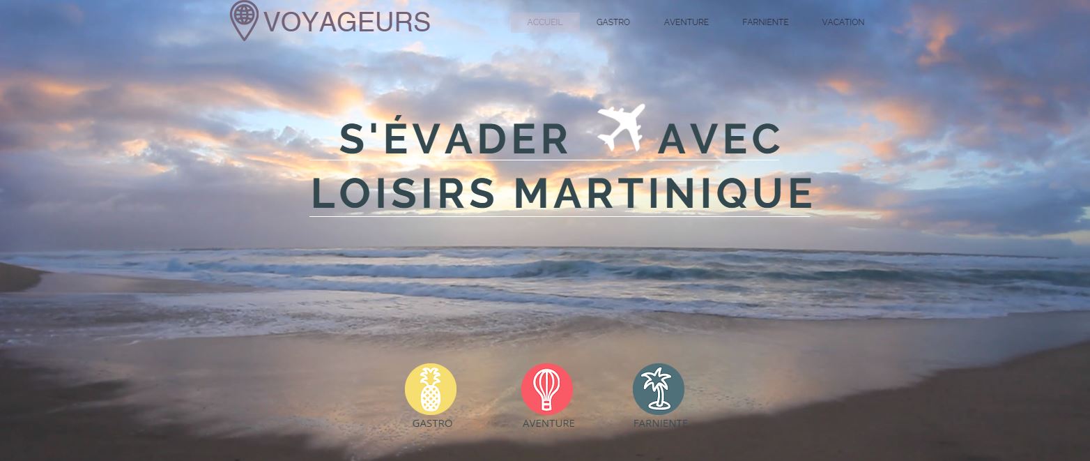 rencontre avec les dauphins martinique