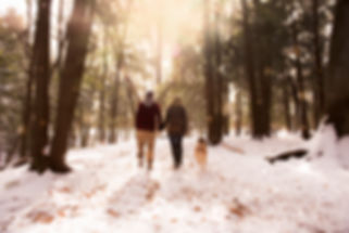 Engagement shoot, in forest, with dog,