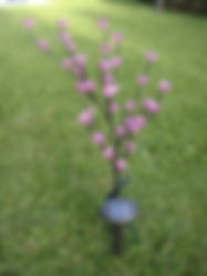Arbol de durasno solar