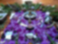 IMG_7151.jpeg