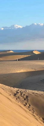 Maspalomas Dunes Dunas Map Gay Guide