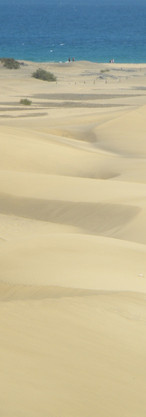 Maspalomas Dunes Dunas Map Gay Guide