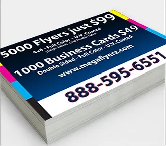 megaflyerz 5000 flyers for 99