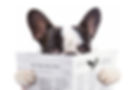 AdobeStock_73494692.jpeg