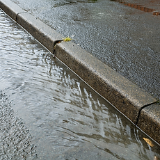 Untitled design (14).png